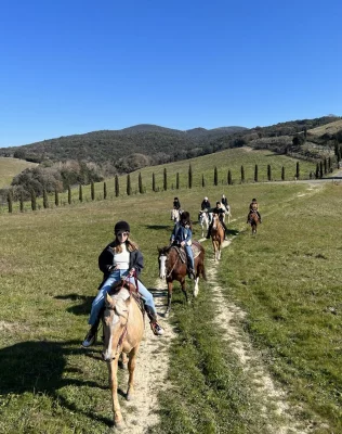 Thumbnail for Passeggiata a cavallo di un'ora con picnic e degustazione di vini presso l'Azienda Agricola Toscani a Casale Marittimo