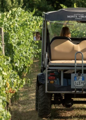 Thumbnail for Öko-Jeep-Tour in den Weinbergen mit Weinprobe am Monte Vibiano in Umbrien