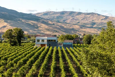 Thumbnail Auf dem Vulkan: Probiere den Wein des Ätna bei Camporè Wine