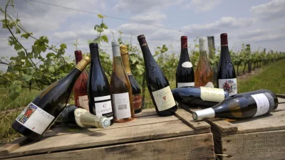 Thumbnail Exclusive Full-Day Private Loire Valley Wine Tour from Paris
