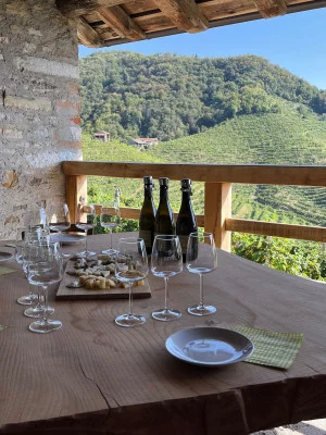 Thumbnail for Absolute Weinprobe bei Bival Azienda Agricola in Valdobbiadene
