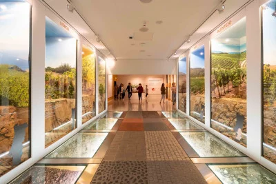 Thumbnail Une expérience de musée au World Of Wine à Porto