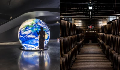 Thumbnail Taylor's Cellar Tour + The Wine Experience Museum in der World of Wine in Porto