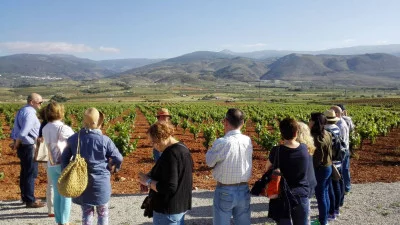 Thumbnail Esperienza per gli amanti del vino al Cortijo El Cura Eco-Bodega di Almería