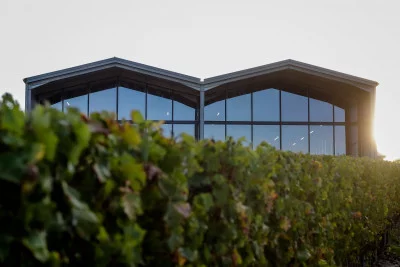 Thumbnail "De la terre au verre": Visite et dégustation de vin au Château Lauduc