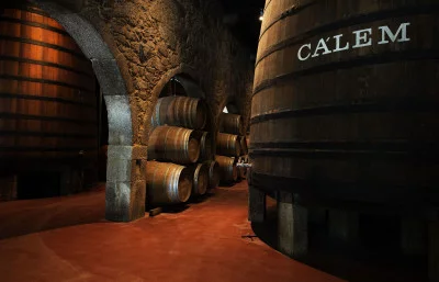 Thumbnail Tour Premium con degustazione di vino Porto presso la Cantina di Calem