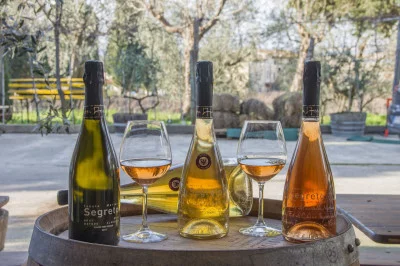Thumbnail for Segreto Selection CRU Experience - Dégustation de vin et d'huile à Tenuta Mariani