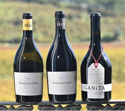 Thumbnail for Cata de vinos Premium en Quinta do Gradil