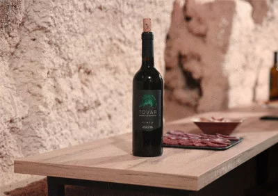 Thumbnail Underground cellars tour and wine tasting at Tovar Bodega de Bodegas in Valladolid