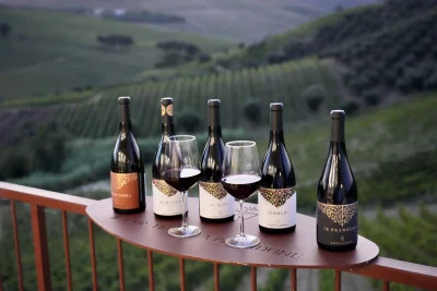 Thumbnail for Premium wine tasting at Il Conte Villa Prandone in the heart of Piceno