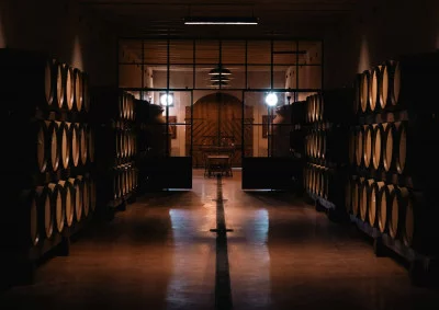 Thumbnail for Visita e degustazione completa di vini presso la Tenuta di Montefoscoli in Toscana