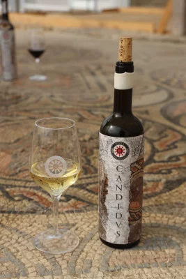 Thumbnail Visit to the Villa of Mosaics: the wines of Valpolicella from ancient Rome to today
