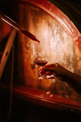 Thumbnail Morgon Wine Voyage: Visit and Wine Tasting at Château Grange Cochard