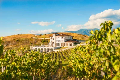 Thumbnail Sonderführung durch die Weinberge, das Weingut und Verkostung von 6 Weinen in der Villa Melnik in Harsovo