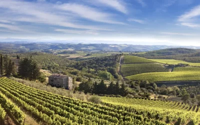 Thumbnail Visite et dégustation de vin au château de Tornano in Chianti