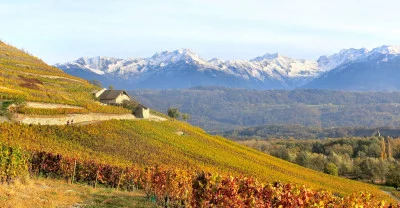 Thumbnail Meraviglie della Savoia: Wine tour privato di mezza giornata da Chambery