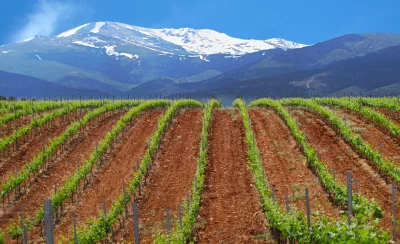 Thumbnail Cata de vinos en Bodegas Munana: ¡la mayor altitud de Europa para los viñedos!