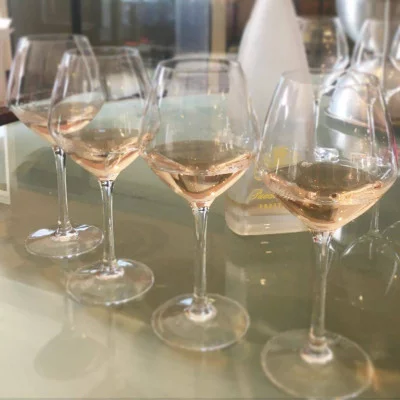 Thumbnail for Tour di mezza giornata del vino rosé della Camargue da Montpellier