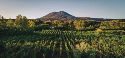 Thumbnail Dégustation de vin Agorà à la Casa Setaro sur le mont Vesuvio