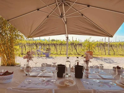 Thumbnail Leichtes Mittagessen mit Besuch und Weinprobe auf dem Weingut von Gianluca Fugolo in Valpolicella