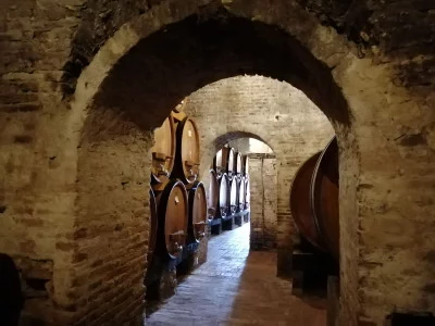 Thumbnail Ganztägige Weintour zum Chianti ab Siena