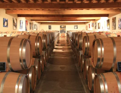 Thumbnail 50 anni di viticoltura: Tour di degustazione in duo a Château Haut-Piquat e Château Chatain