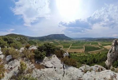 Thumbnail Alla scoperta dei terroir segreti della Valle dell'Agly: wine tour di mezza giornata da Perpignan