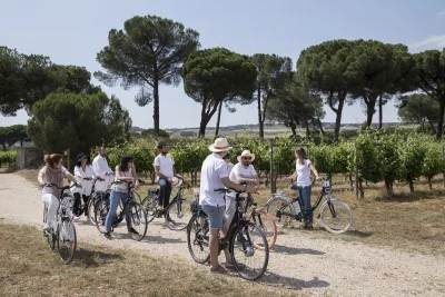 Thumbnail E-bike & Picnic wine tasting at Finca Villacreces