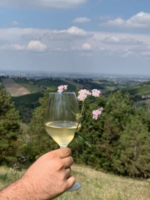 Thumbnail Monteveglio wine experience at Podere Casa Piana in Bologna's countryside