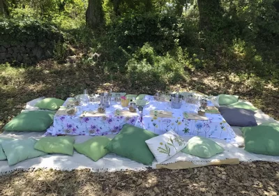 Thumbnail Picknick in den Weinbergen von Cantine Russo am Ätna