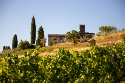 Thumbnail Visite et dégustation de vins de qualité supérieure à Camilucci en Franciacorta