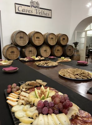 Thumbnail Wine & Cheese Experience at Caves Velhas in Bucelas