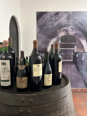 Thumbnail Arinto Heritage Wine Tour: Discovering Centennial Vineyards at Caves Velhas in Bucelas