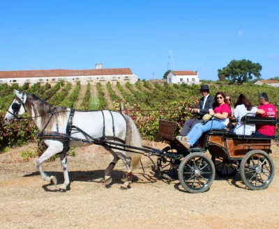 Thumbnail Visite des vignobles en calèche avec une dégustation de vin et de fromage à la Quinta São João Batista à Tejo