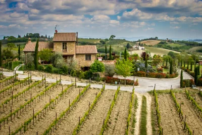Thumbnail Besichtigung des Weinguts und Weinprobe von 6 Weinen in der Cantina Chiacchiera in Montepulciano