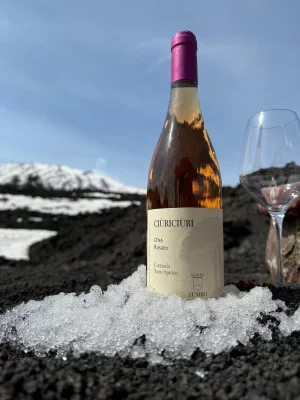 Thumbnail Wine tasting at high altitude on Mount Etna & Winery lunch with Zumbo Vini
