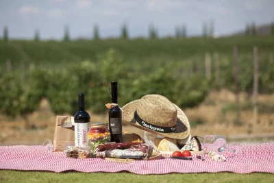 Thumbnail Exklusive Weinprobe und Picknick im Celler La Vinyeta in Emporda