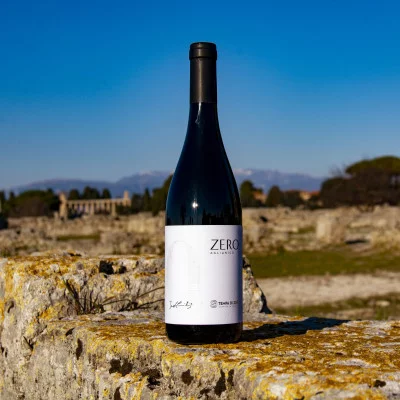 Thumbnail Weinprobe und leichtes Mittagessen in der Tempa di Zoè im Cilento