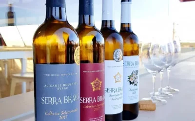 Thumbnail Besichtigung und Weinprobe von 3 Serra Brava Weinen bei Herdade Canal Caveira im Alentejo