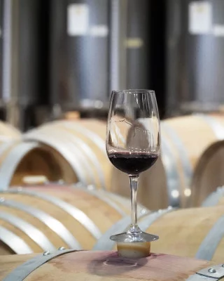Thumbnail Wine experience sur le Barbera à Tenuta la Pergola dans le Monferrato