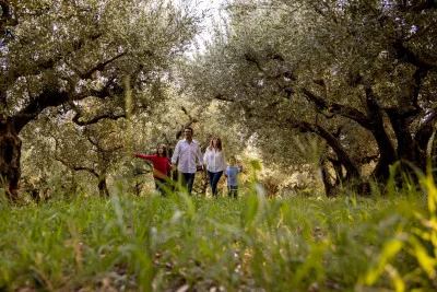 Thumbnail Besichtigung der Olivenmühle und Verkostung des Olivenöls bei Famiglia Orlandi auf dem Lande in Verona
