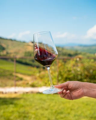 Thumbnail Chianti Classico wine tasting at Tenuta Folonari