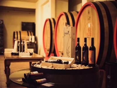 Thumbnail Besichtigung des Weinguts und Vertikale Verkostung des Orcia Sangiovese DOC bei Sassodisole in Montalcino