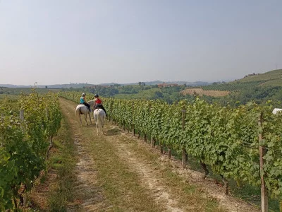 Thumbnail Randonnée à cheval et pique-nique dans les vignobles des Langhe avec Aldo Marenco