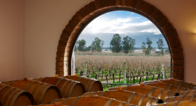 Thumbnail Villa Matilde wine tasting in Campania