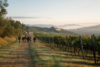 Thumbnail Experiencia de cata de vinos de la Toscana pura en Podere Ema