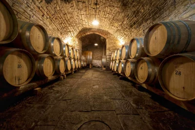 Thumbnail Classic wine tasting experience at Savignola Winery
