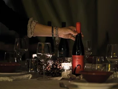 Thumbnail Fröhliches Weinerlebnis bei Capurso Wein in der Nähe von Verona