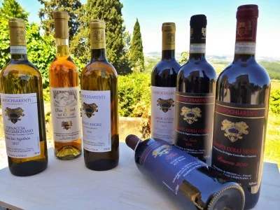 Thumbnail Experiencia de cata de vinos en la Bodega Campochiarenti, cerca de Siena