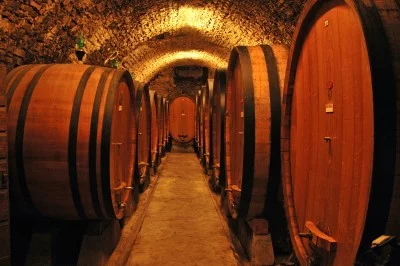 Thumbnail Experiencia de cata de vinos clásicos de Chianti en Tenute Squarcialupi La Castellina